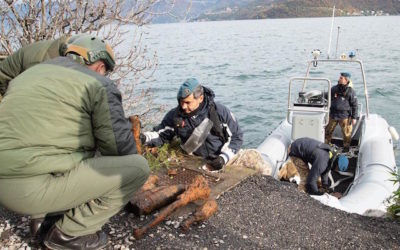 Lago d’Iseo, prosegue il recupero di ordigni bellici