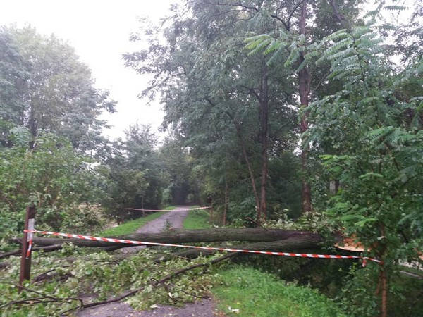 Maltempo, il vento e la pioggia creano disagi in Valle e sul lago d'Iseo