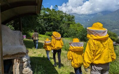 Diventare apicoltori alla Casa Museo di Cerveno