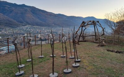 Prosegue il restyling del Museo e del Parco di Luine di Darfo