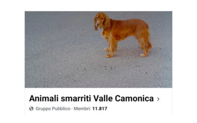 I primi 10 anni del gruppo Animali smarriti in Valle Camonica